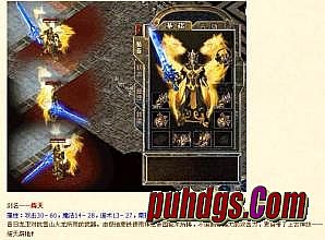 ����1.76���Ź���