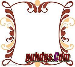 �¿���ͨ��װ������վ