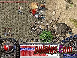 ���������ֻ���������