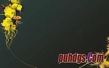 �տ�һ�봫����վ