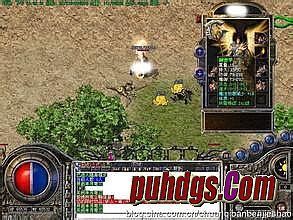 ����̬�ϻ�������վ